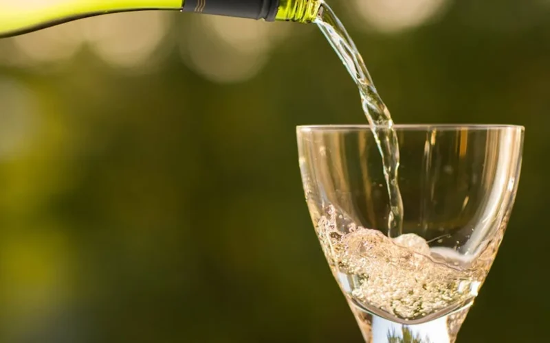 Rarity in White Wine: The 2026 Wines Making Waves Beyond the Familiar