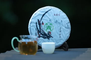 Rui Rong Hao’s Tuocha Reveals Shu Pu’er’s Hidden Nuances