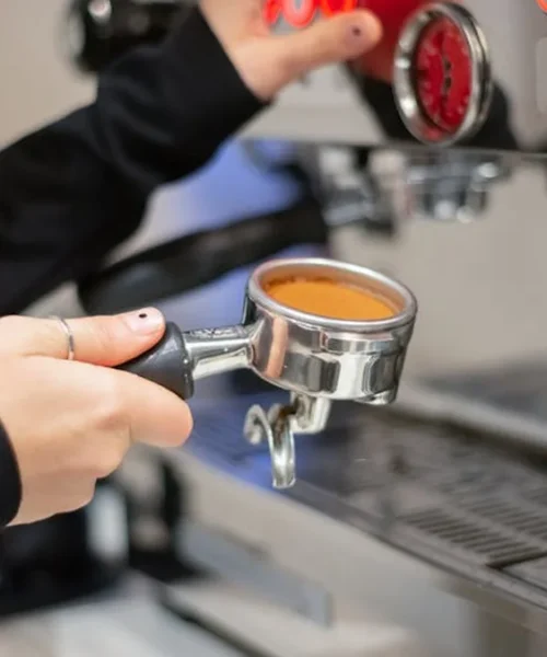 From Saeco to Lelit: Mastering the Art of Espresso Balance