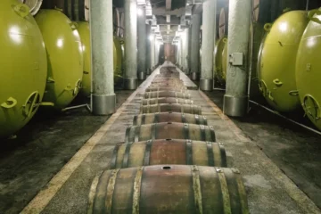 Saint-Estèphe 2025: A New Benchmark in Médoc Excellence