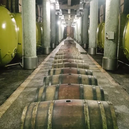 Saint-Estèphe 2025: A New Benchmark in Médoc Excellence