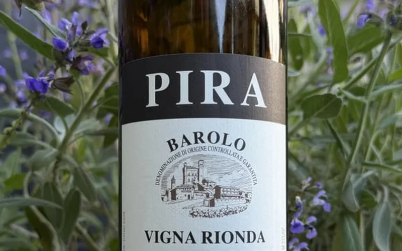 A Single Batch of 2005 Luigi Pira Vigna Rionda