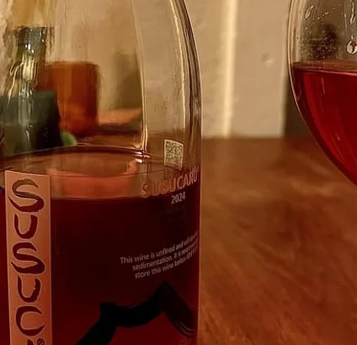 Susucaru’s Earthy Edge: A First Taste of Fermented Complexity