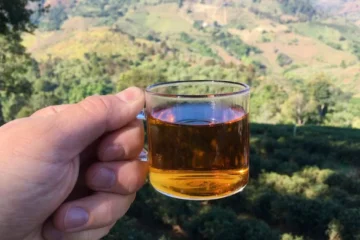 Thai Iced Tea Claims Top Spot in Global Non-Alcoholic Beverage Rankings