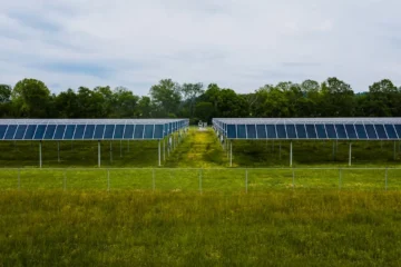 Toro’s Ancient Vines Face a Solar Overhaul
