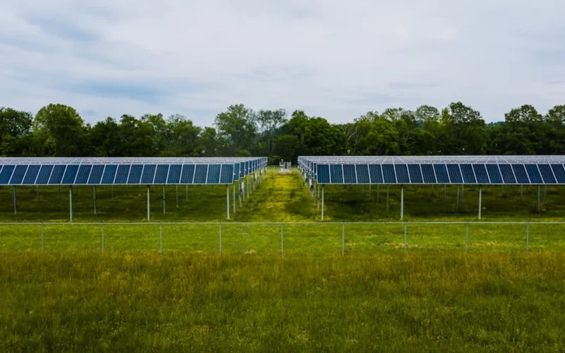 Toro’s Ancient Vines Face a Solar Overhaul