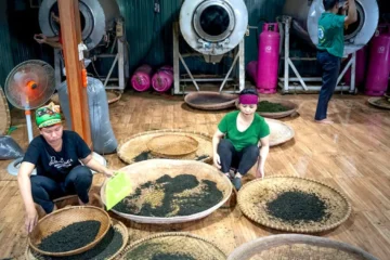 Tulin Phoenix Special Raw Puerh Tuo Cha: Aged Elegance in Every Sip