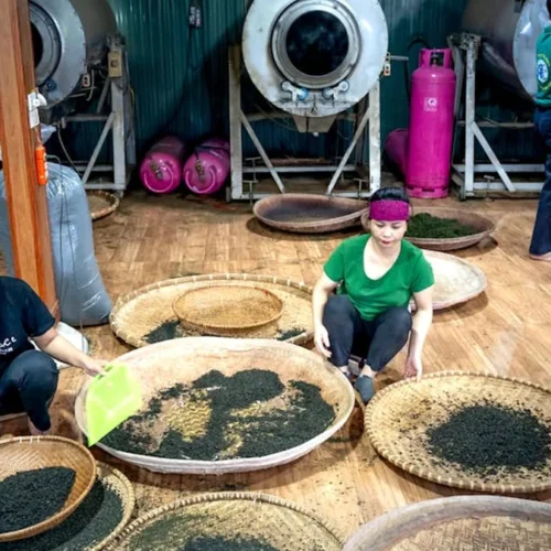 Tulin Phoenix Special Raw Puerh Tuo Cha: Aged Elegance in Every Sip