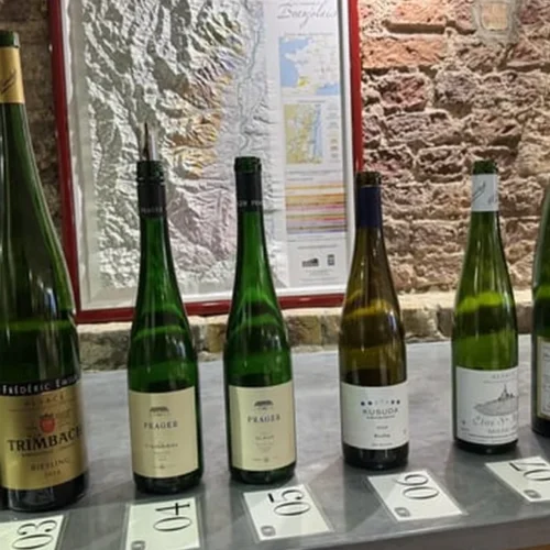 Wachau’s Riesling Reveals the Magic of Terroir