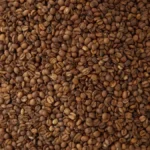 Dark roasted coffee beans spilling from a cast iron roaster with steam rising in a rustic kitchen.