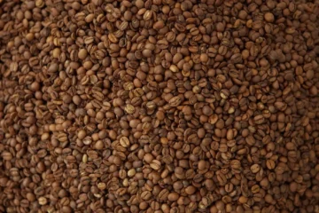 When First Crack Fails: Rethinking Roast Development