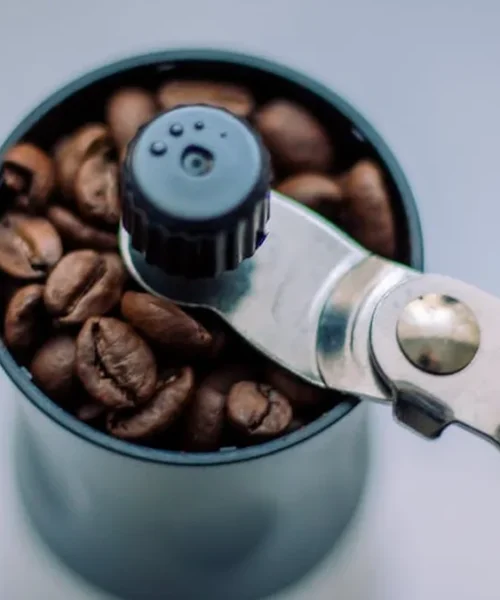 Why Your DIY Roast Demands a Finer Grind