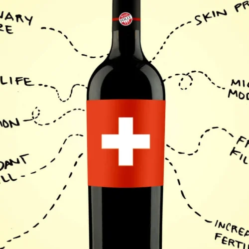 Wine’s Polyphenol Power: How Science and Culture Shape Health