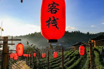 Xiaguan Xiao Fa 2018: A Bargain That Brews Value