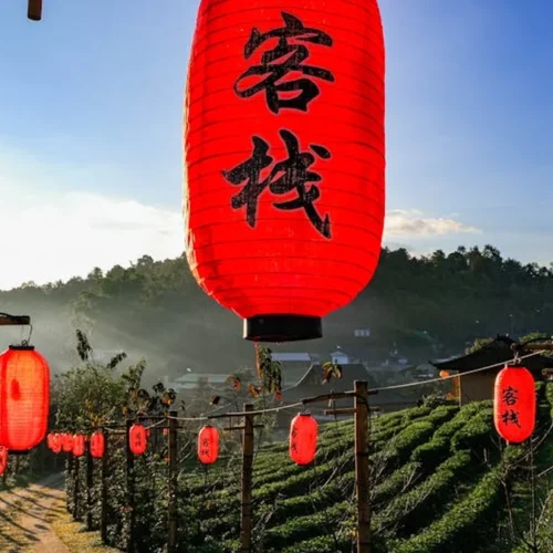 Xiaguan Xiao Fa 2018: A Bargain That Brews Value