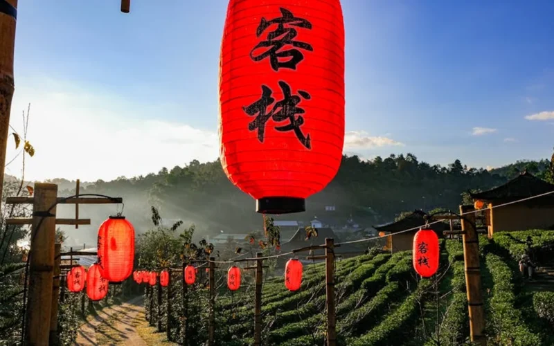 A traditional tea set with bamboo and lanterns under soft natural light.