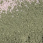A close-up image of matcha powder being whisked, showing fibrous texture and golden light reflection.