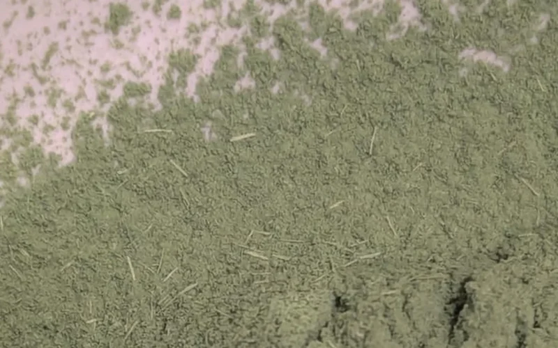 A close-up image of matcha powder being whisked, showing fibrous texture and golden light reflection.