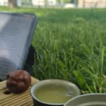 Pouring bright green Anji Bai Cha tea from a white porcelain gaiwan into glass cups.