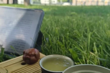 Anji Bai Cha Brings Gong Fu Precision to Budapest