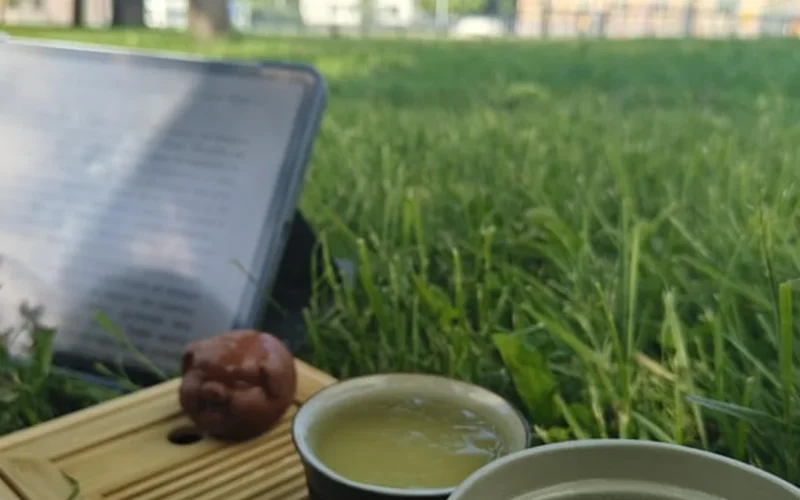 Pouring bright green Anji Bai Cha tea from a white porcelain gaiwan into glass cups.