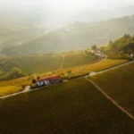 A glass of red wine on a terrace overlooking a French vineyard.