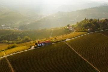 Belair Monange Delivers Pure Merlot Elegance in Saint-Émilion