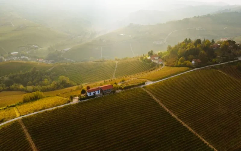 A glass of red wine on a terrace overlooking a French vineyard.