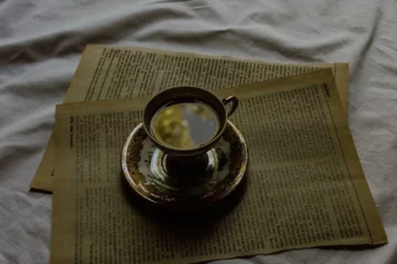 Bitterleaf’s Bada Raw Puer: A Brew That Balances Bitterness and Brightness