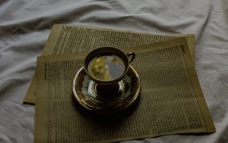 A steaming clay gaiwan with dark tea liquor, surrounded by dried leaves and bamboo, under soft natural light.