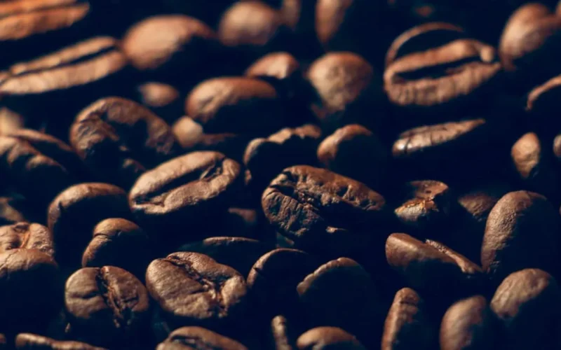 A ceramic bowl holds a mix of dark and light roasted coffee beans under warm golden light.