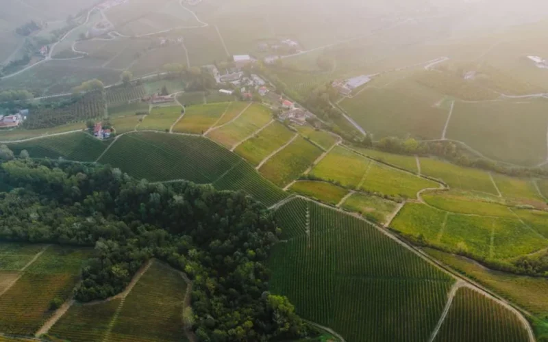 Red wine glasses overlooking lush Bordeaux vineyards during a romantic sunset honeymoon.