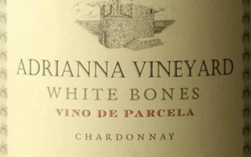 A crisp glass of chilled white wine glowing in bright natural light.