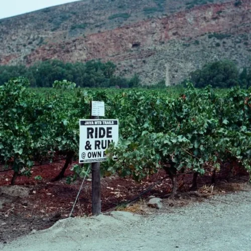 Cono Sur Leverages Chilean Extremes to Bridge Price Points