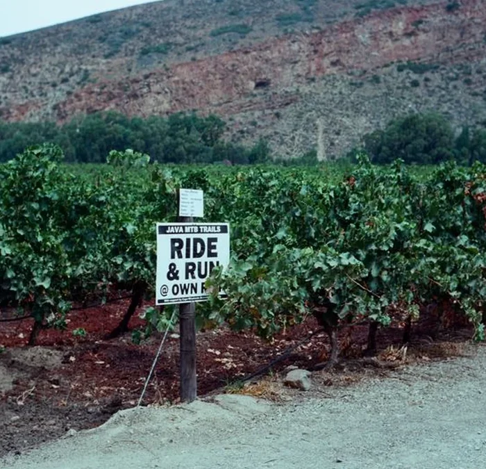 Cono Sur Leverages Chilean Extremes to Bridge Price Points