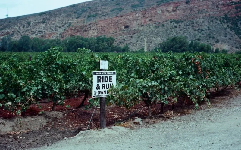 Panoramic view of Chilean vineyards set between the Andes mountains and coastal terrain.