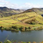 Aerial view of terraced vineyards along the Danube River in Niederösterreich Austria.