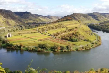 The Danube Defines Niederösterreich Diversity