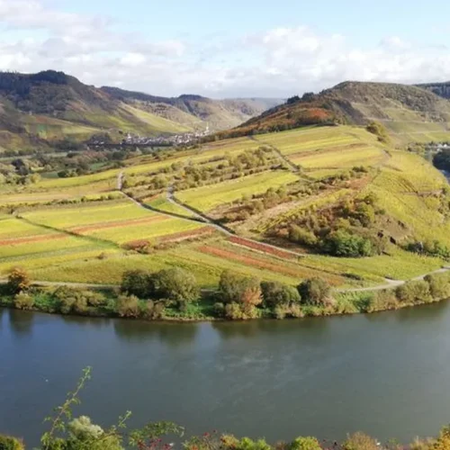 The Danube Defines Niederösterreich Diversity