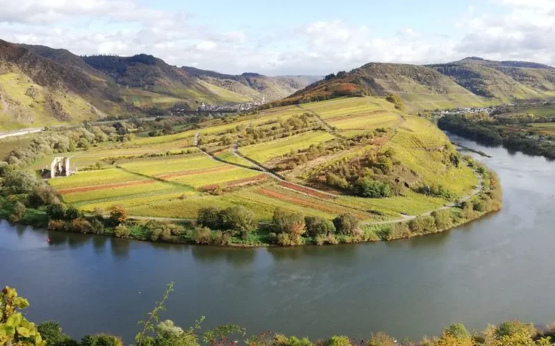 Aerial view of terraced vineyards along the Danube River in Niederösterreich Austria.
