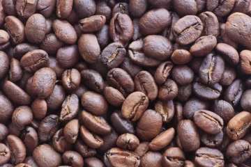 Development Time Isn’t the Only Variable in Roasting Consistency