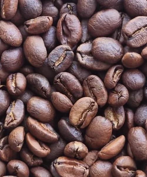 Development Time Isn’t the Only Variable in Roasting Consistency