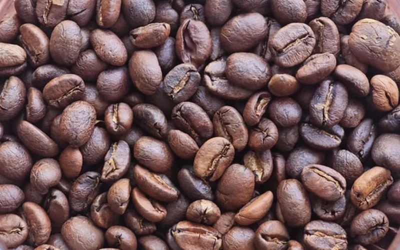 Coffee beans spilling from a conical mill into a dark wooden tray with steam rising nearby.