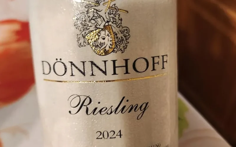 Close-up of a chilled glass of Riesling wine in a sunny vineyard setting.