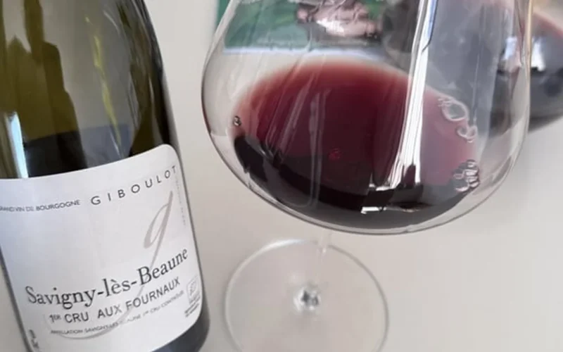 Finding Value in Accessible Burgundy Premier Cru