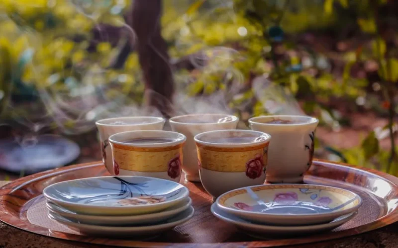 Green Tea’s Secret Sauce: Why Dietitians Swear by It for Brain Health