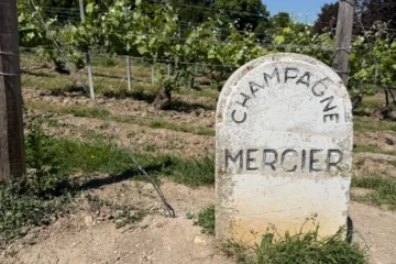 Gusbourne Estate Defines the Edge of English Viticulture
