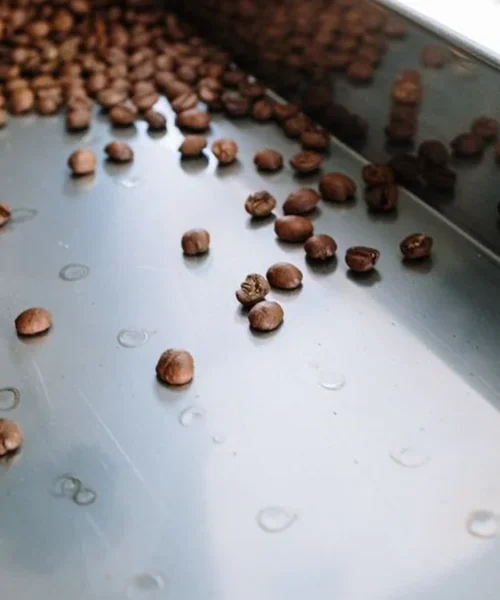 Hamizah’s Let’s Coopi Roasters Blends Specialty Coffee With Neurodivergent Advocacy