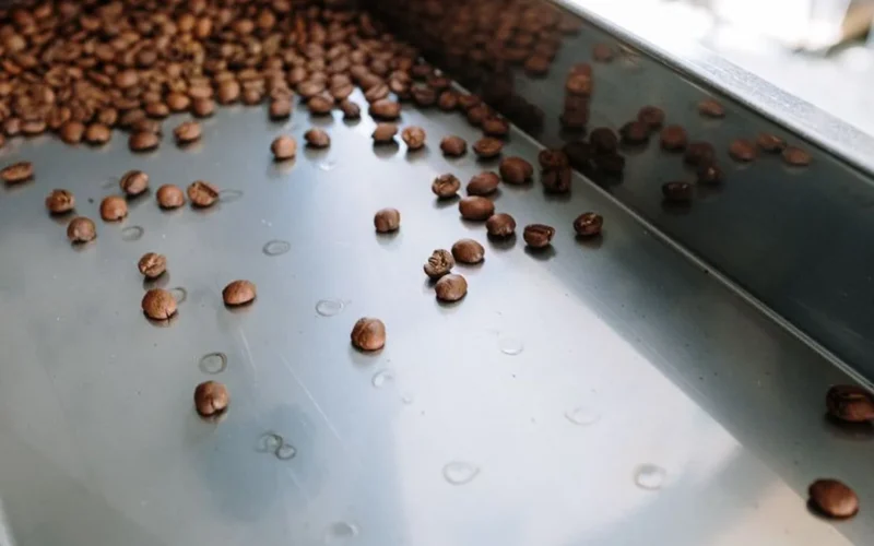 Hands measuring specialty coffee beans in a bright, sunlit micro-roastery setting.