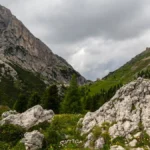 Close up of grapes in a vineyard with Dolomite mountains background